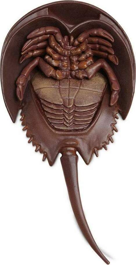 Horseshoe Crab