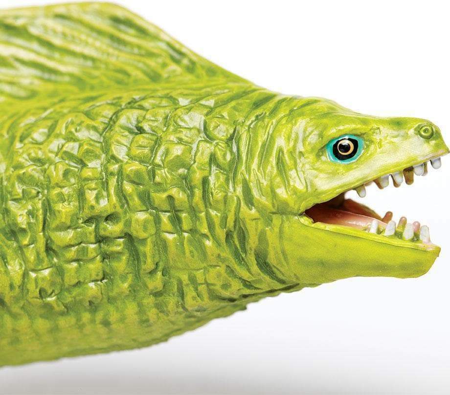 Moray Eel Toy