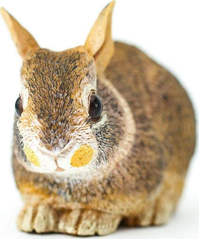 Eastern Cottontail Rabbit Baby Toy