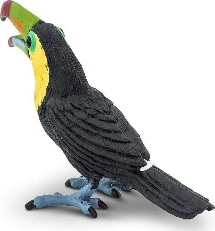 Toucan Toy