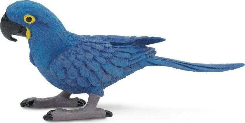 Hyacinth Macaw Toy
