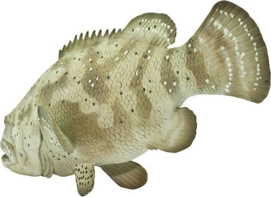Goliath Grouper Toy