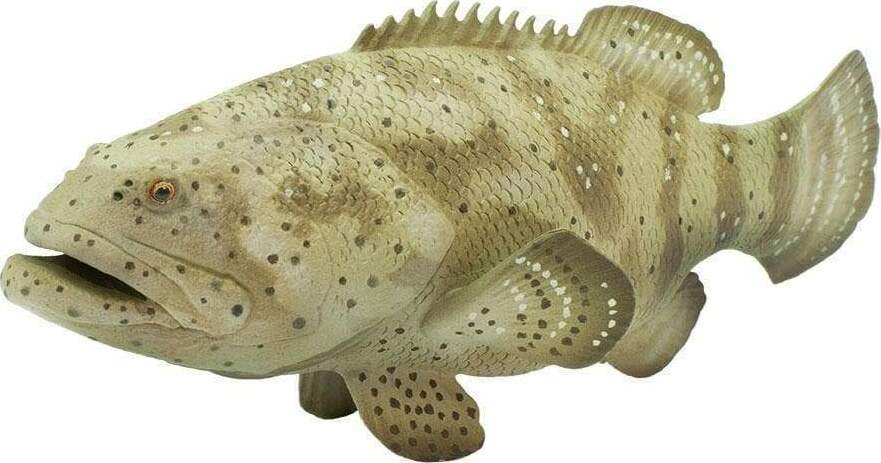 Goliath Grouper Toy