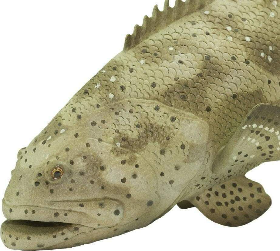 Goliath Grouper Toy