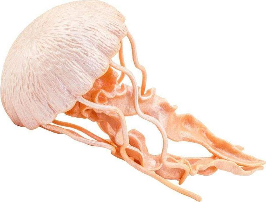 Jellyfish Toy