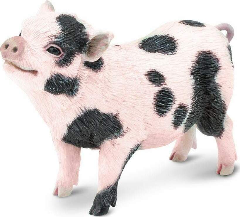 Pot-Bellied Pig Toy