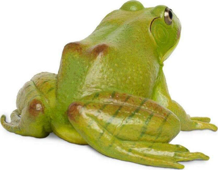 American Bullfrog Toy