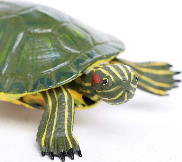 Red-Eared Slider Turtle Toy