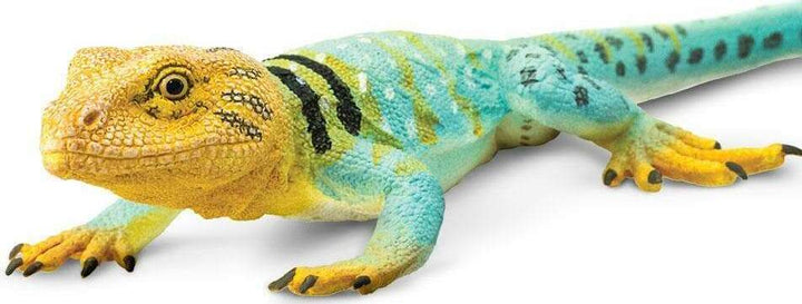 Collared Lizard Toy