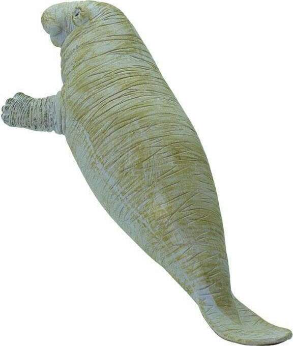 Manatee Toy