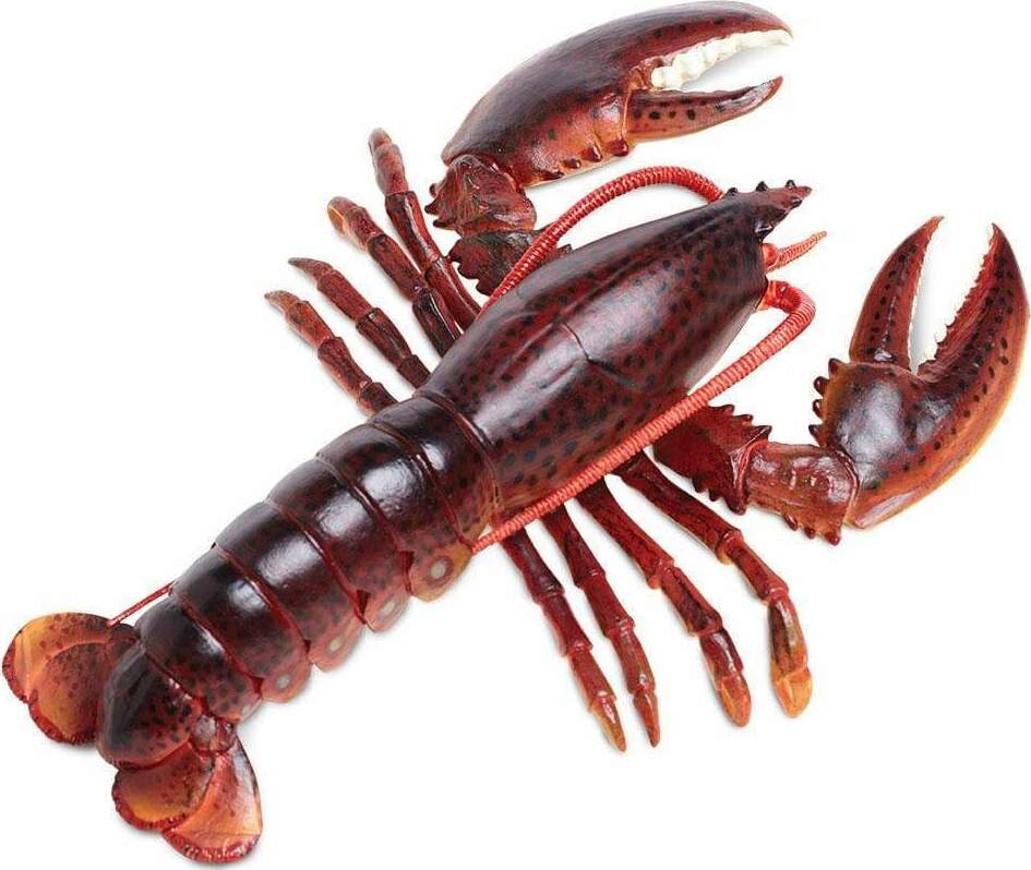 Maine Lobster Toy
