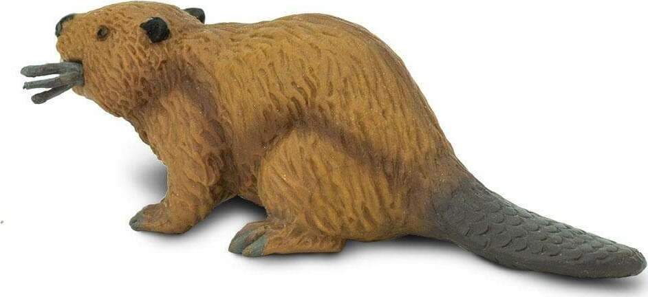 Beaver Toy