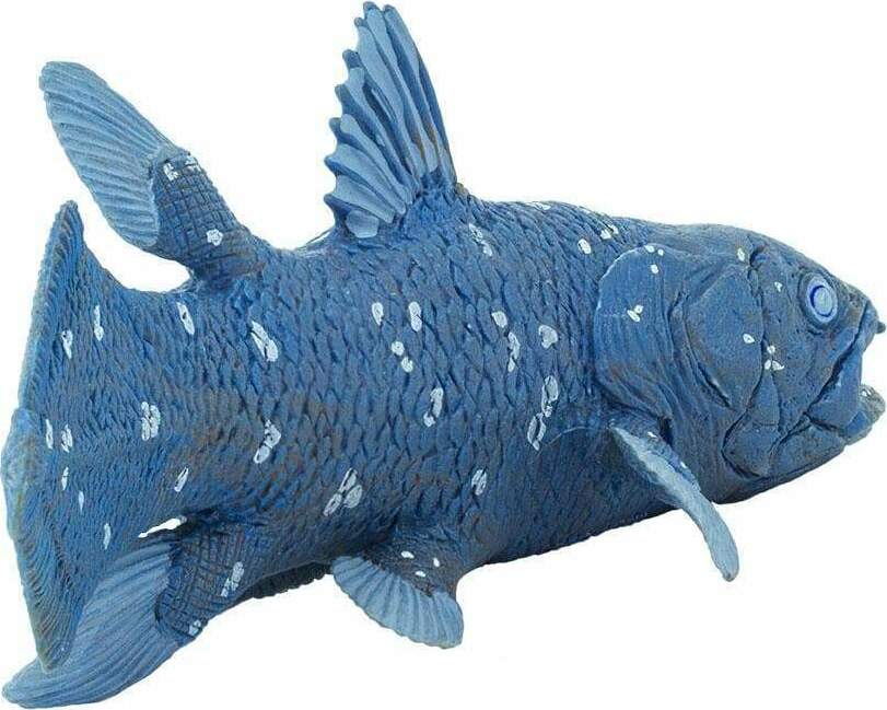 Dinosaur Coelacanth – Stevenson's Toys & Games
