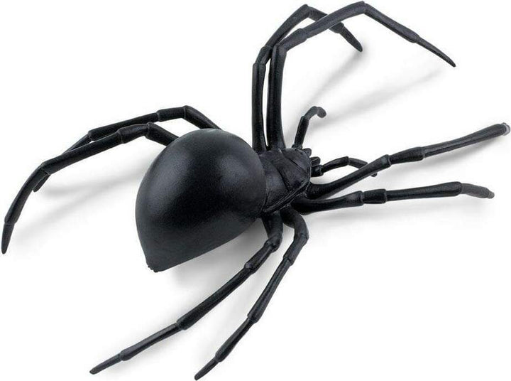 Black Widow Spider