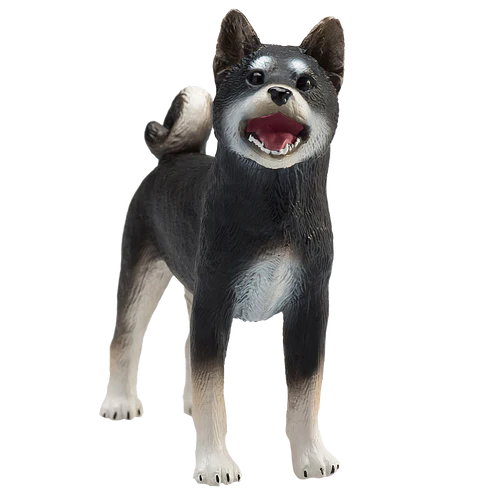 Shiba Inu Black Mojo