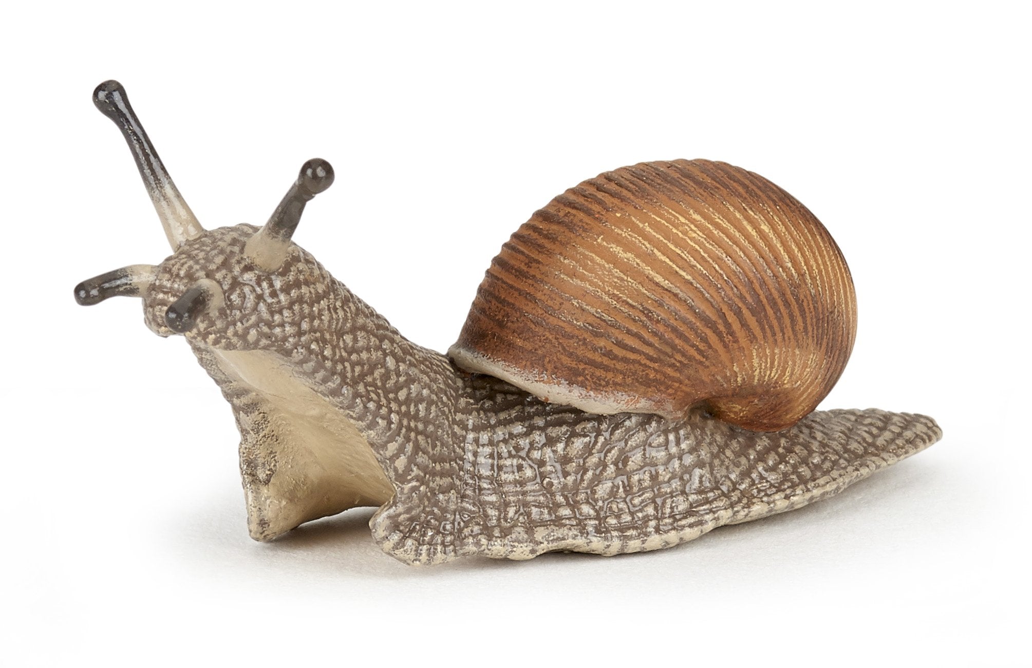 Snail – Stevenson's Toys & Games