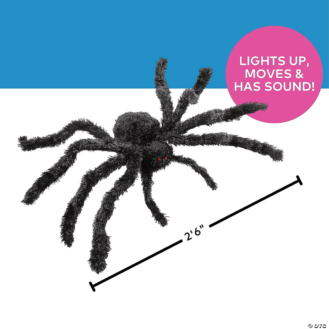 Animated Spider