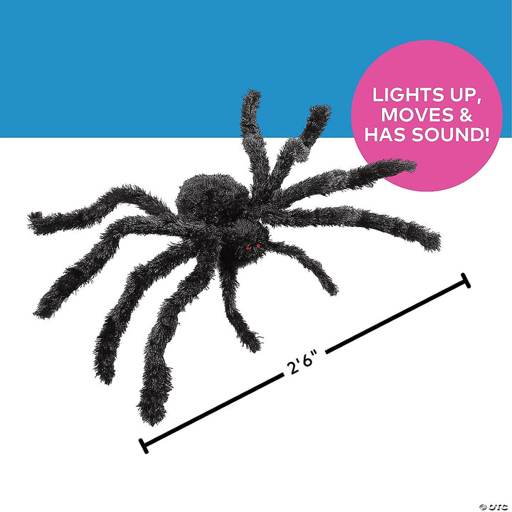 Animated Spider
