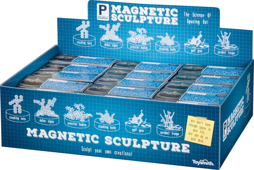 Magnetic Sculpture (18)