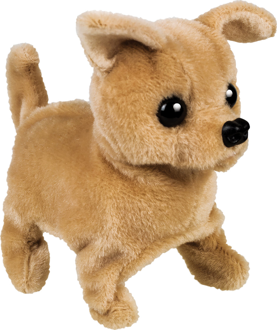 Chi Chi the Walking Chihuahua Dog