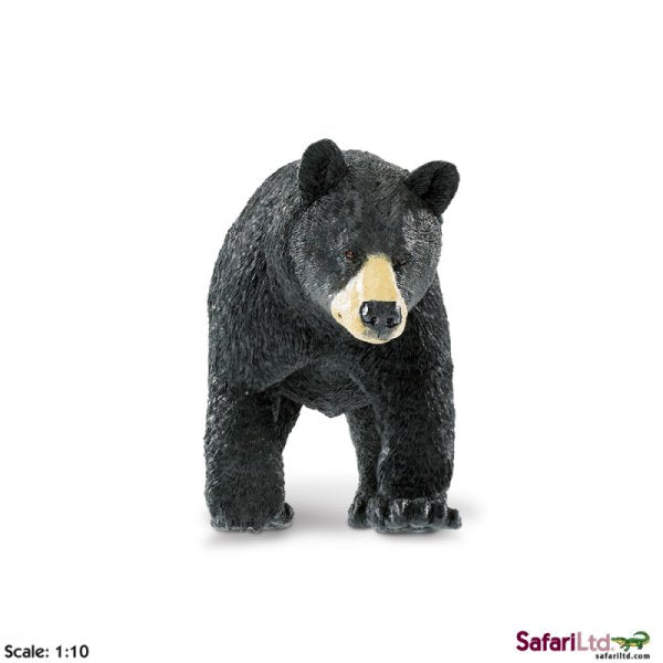 Wildlife Wonders Black Bear
