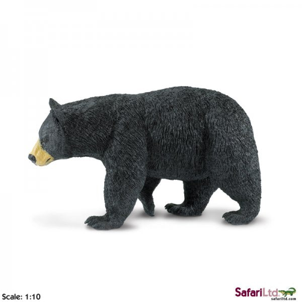 Wildlife Wonders Black Bear