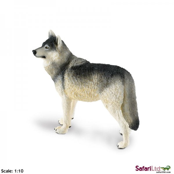 Wildlife Wonders Grey Wolf