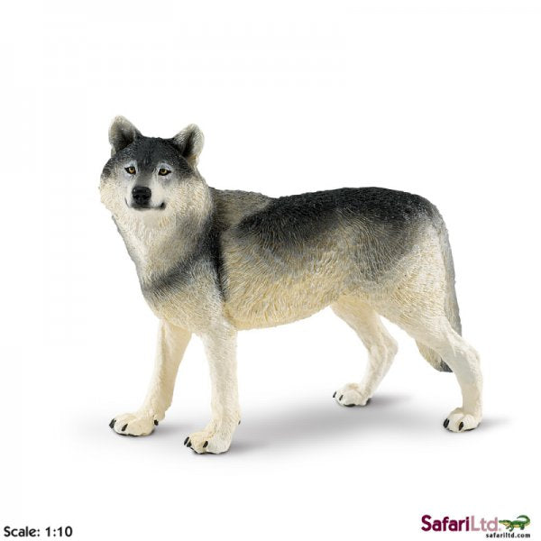 Wildlife Wonders Grey Wolf