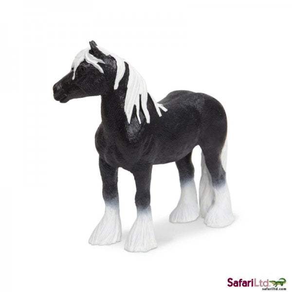 Horse Gyspy Vanner Stallion