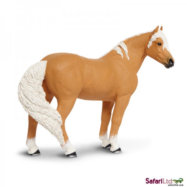 Horse Palomino Mare