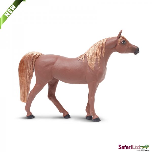 Horse Arabian Mare
