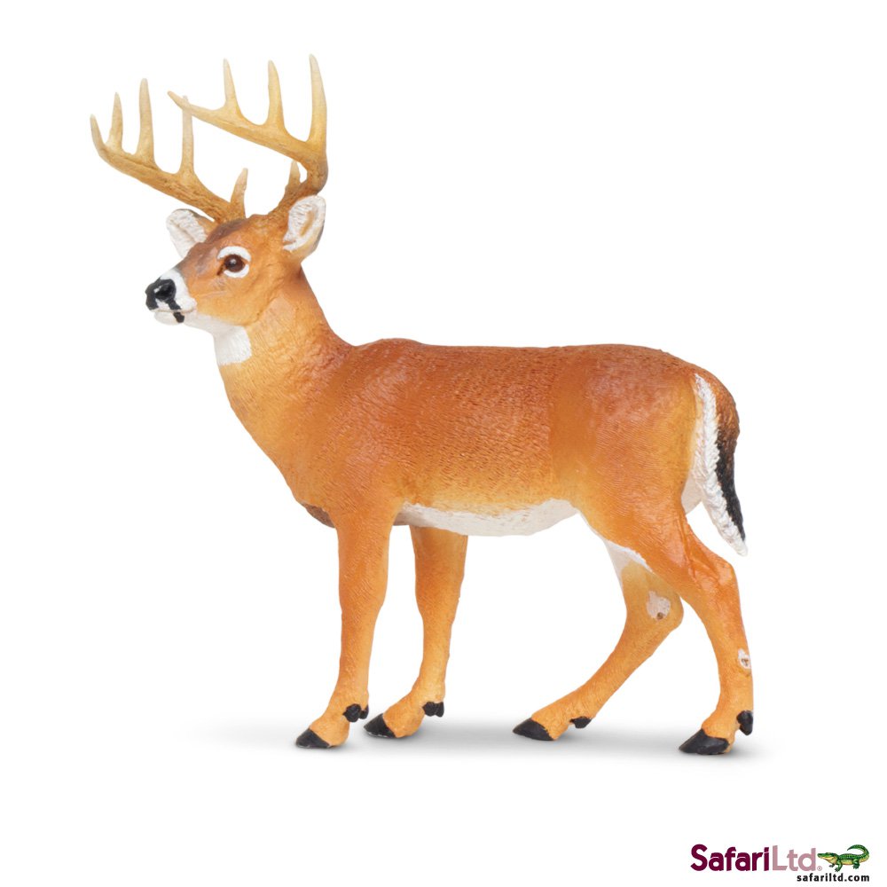 North American Wildlife Whitetail Buck