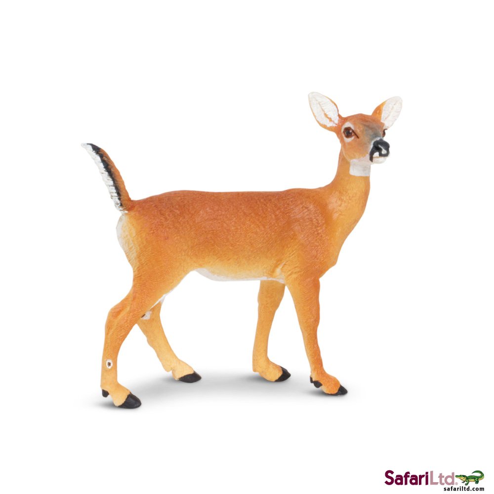 North American Wildlife Whitetail Doe