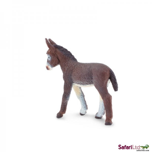 Farm Donkey Foal