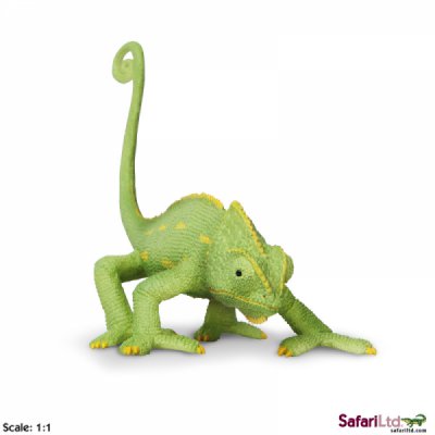 Incredible Creature Veiled Chameleon Baby