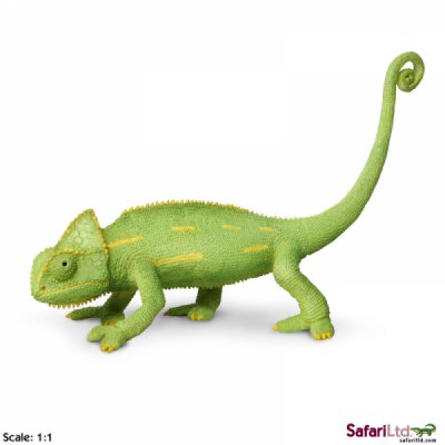 Incredible Creature Veiled Chameleon Baby