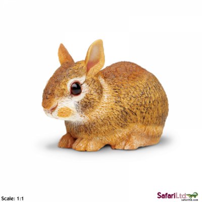 Incredible Creature Eastern Cottontail Rabbit Baby