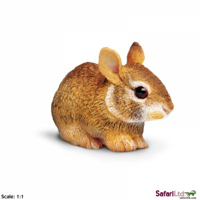 Incredible Creature Eastern Cottontail Rabbit Baby