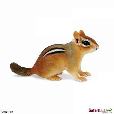 Incredible Creature Eastern Chipmunk
