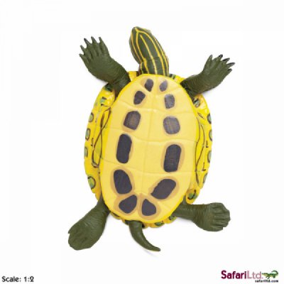 Incredible Creatures Red-Eared Slider Turtle