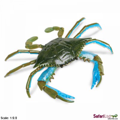 Incredible Creature Blue Crab – Stevenson's Toys & Games