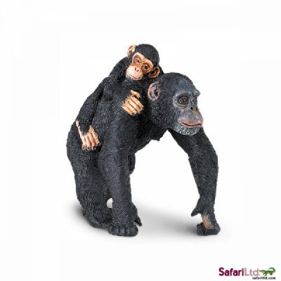 Safari Wild Chimpanzee with Baby