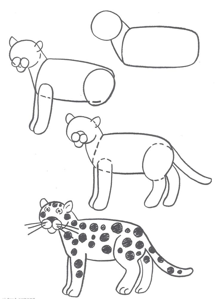 How To Draw Animals