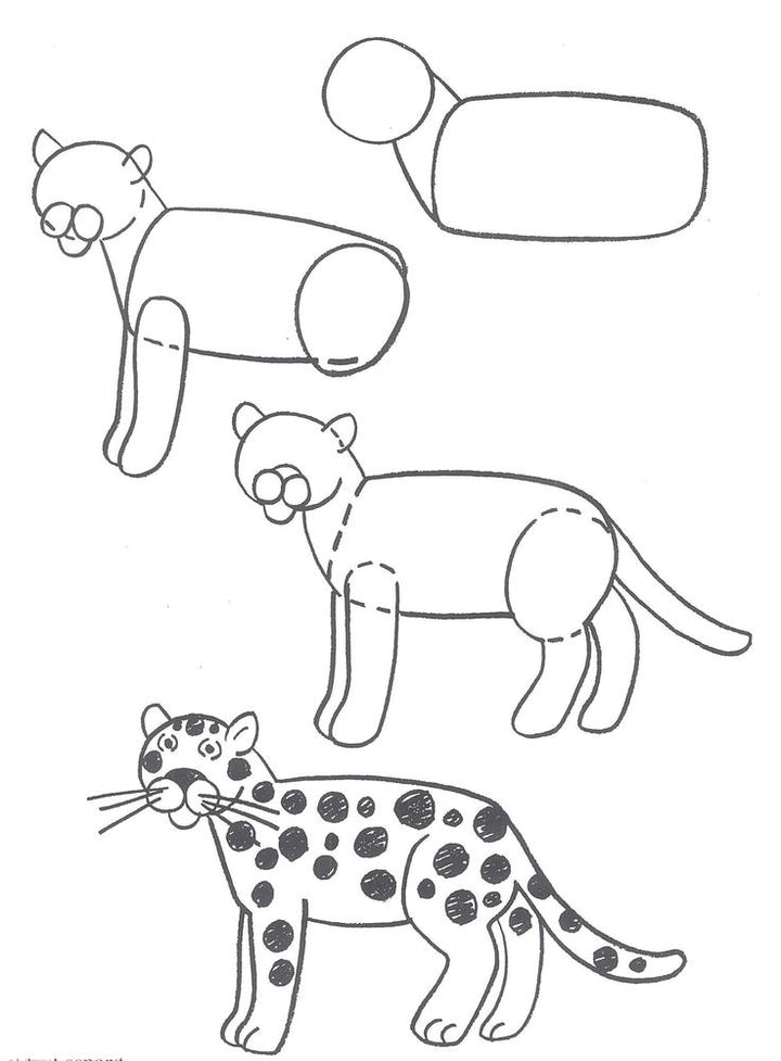 How To Draw Animals