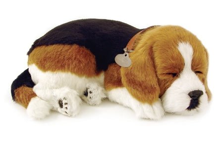 Perfect Petzzz Beagle