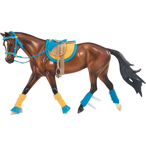 English Riding Set in Hot Colors English Riding Set in Hot Colors