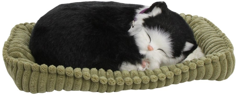 Perfect Petzzz Black & White Shorthair Cat – Stevenson's Toys & Games