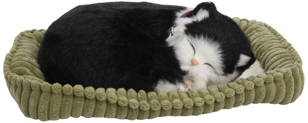 Perfect Petzzz Black & White Shorthair Cat