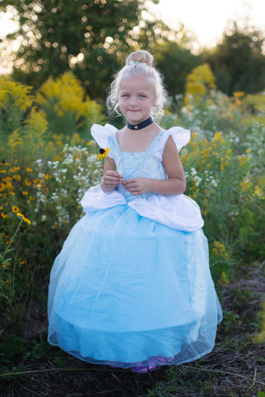 Deluxe Classic Cinderella Gown (Size 3-4)