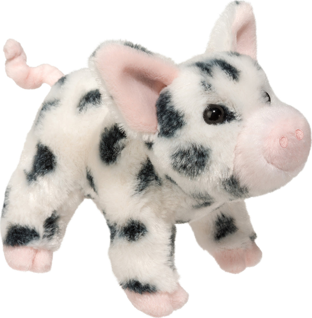 Black Spotted Pig - Leroy